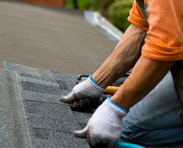 Roof Gutter Cleaning in Dravosburg, PA